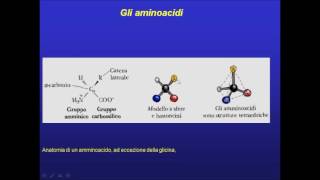 Amminoacidi struttura generale [upl. by Greenburg]