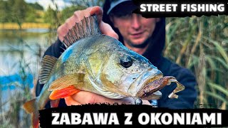 ZABAWA Z OKONIAMI PO PRACY  SPINNING ULTRALIGHT  STREET FISHING  RZEKA WARTA [upl. by Macmullin]