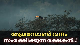 agouti animal facts malayalam [upl. by Pier]