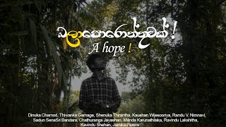 බලාපොරොත්තුවක්  A hope beyond life  Sinhala short film  MiniFlix Cinema [upl. by Milman]