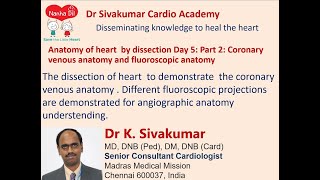 Anatomy of heart by dissection Day 5 Part 2 Coronary venous anatomy and fluoroscopic anatomy [upl. by Pammy]