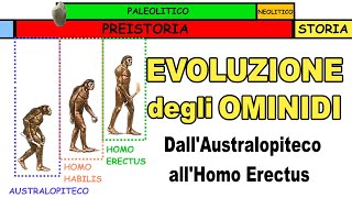 🐒➡🚶🏻‍♂️ LEVOLUZIONE DEGLI OMINIDI dallAustralopiteco allHomo Erectus 🔥 Storia Scuola Primaria [upl. by Eugaet50]