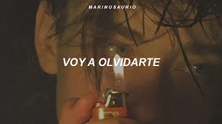 Reik  Voy A Olvidarte Letra [upl. by Robbin]