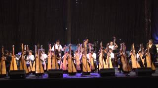 Arpas paraguayas en Foz do Iguaçu Orquesta Sonidos de la Tierra [upl. by Ornas]