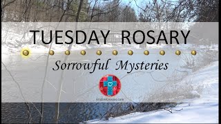 Tuesday Rosary • Sorrowful Mysteries of the Rosary 💜 March 12 2024 VIRTUAL ROSARY  MEDITATION [upl. by Hardman]