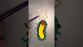 H Pylori for Medical microbiology [upl. by Alinoel616]