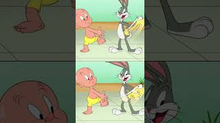 Looney Tunes en Latino shorts  Conejitos en la piscina 🐰🐰 WBKidsLatino​ [upl. by Kaplan]