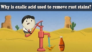 Why is oxalic acid used to remove rust stains  aumsum kids science education children [upl. by Nylinnej]