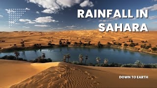 How Sahara Desert will receive a rare amp unexpected rainfall [upl. by Rebmyk]