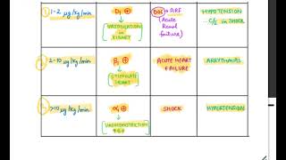 Adrenergic Drug Dopamine Dobutamine NA Adrenaline Isoprenaline Clonidine Phenyl Salbutamol [upl. by Ymled]