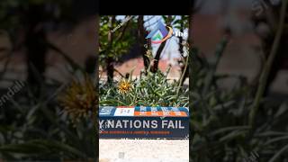 Why Nations Fail  youtube shortsvideo shorts history economy audiobook books reading css [upl. by Yehc]