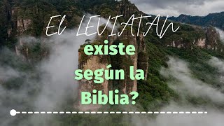 Pasé 30 días investigando si el LEVIATAN existe según la Biblia [upl. by Ivette735]