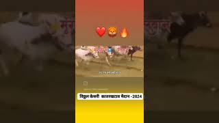 पब्लिक किंग मुंगळाvirual video  नाद महाराष्ट्राचा [upl. by Nerha]