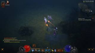 Diablo 3 Pet Hunt Liv Moore dropping from Ravi Lilywhite [upl. by Aratal]