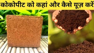 कोकोपीट का उपयोग कैसे करें। बीज को अंकुरित करना हुआ अब बहुत आसान। How to use cocopeat at home [upl. by Adriene]