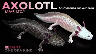 Safari Ltd ® Axolotl Ambystoma mexicanum 2024 Repaint amp Review [upl. by Cosenza638]