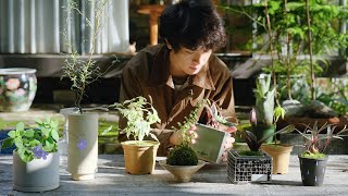 Relaxing Plant Care  Thoughtful plant amp pot pairings kokedama live moss [upl. by Onailimixam]