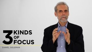 Daniel Goleman Three Kinds of Focus [upl. by Aklim197]