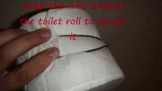 How to make a toilet paper torch [upl. by Guido]