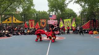 Fongs Hung Gar Lion Dance Team Perform at the 6th Annual Dragon Lion Festival 🦁🍺📜 [upl. by Ocramed]