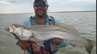 Speckled Trout fishing with Croaker Tips Tricks and Advice Trophy Trout Fishing [upl. by Longtin917]