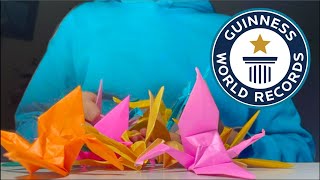 How many Origami Cranes can I fold in 1 Hour [upl. by Laws]