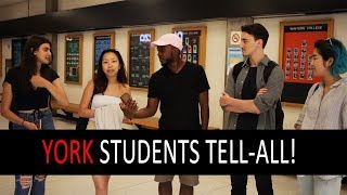 Everything You Need to Know About YorkU [upl. by Anovad]