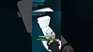 Level Up Your Bathroom Routine LUXE Bidet NEO 180 SelfCleaning Bidet Attachment Review [upl. by Laure]