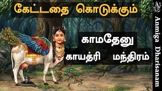 கேட்டதை கொடுக்கும் காமதேனு காயத்ரி மந்திரம் Kamadhenu Gayatri Mantra கோமாதா காயத்ரி மந்திரம் Gomatha [upl. by Lasser503]