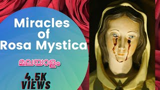 Miracles of Rosa Mystica  Part 5 of 5 [upl. by Michi442]