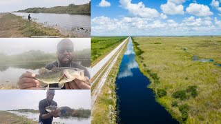 Florida Everglades FishingBest Day Fishing Using Artificial Bait [upl. by Ivanah]