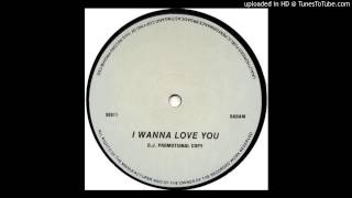 Robert Leiner amp Mindbender  I Wanna Love You Mix 3 [upl. by Acinimod]