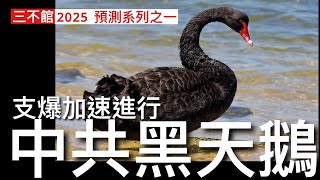 三不館 I 21112024 ￼￼中共黑天鵝出現 習近平出現布里茲尼夫症候群 樓市崩潰消費萎縮 企業投資減少失業上升 外資撤出中國股市 外國直接投資一路減少 政府官僚臃腫公務員及維穩開支天文數字 [upl. by Eiramana]