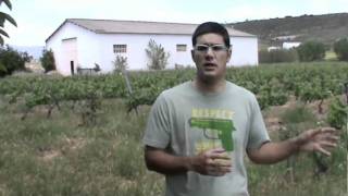 Orgullo Winemaker Gonzalo Gonzalo explains his move to organic viticulture [upl. by Tilly]