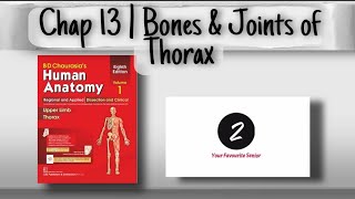 Bones and Joints of Thorax  Chapter 13  BD Chaurasia Anatomy  Volume 1 [upl. by Briggs]