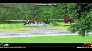 Japan World Cup 3 JRA ハリボテエレジー勝利 [upl. by Seravat]