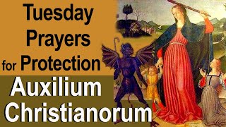 Tuesdays Auxilium Christianorum Prayers for Protection From the Enemy for Use by the Laity [upl. by Aneladdam986]