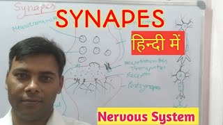 Synapse physiology  Synapse  neuroscience synapse in hindi [upl. by Elnukeda399]