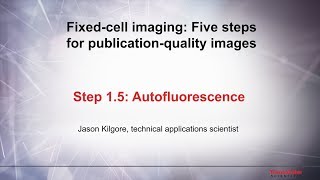 15 Autofluorescence–Fixed cell imaging 5 steps for publicationquality images [upl. by Hilten737]