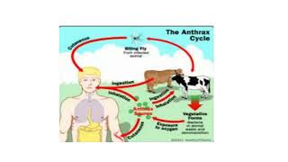 Zoonotic Diseases Video No 108 [upl. by Richela]