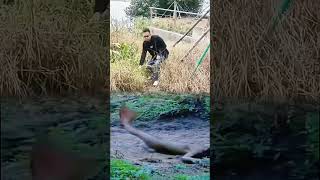 What a funny short video nature trending funny floodshorts [upl. by Opaline]