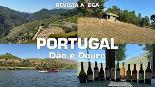 VIAJE CONOSCO pelas REGIÕES do DÃO e do DOURO em PORTUGAL [upl. by Roseann]