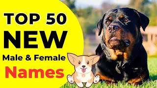 Top 50 Dogs Names  Dog Names For Male  Dog Names For Female  Unique Dog Names [upl. by Shirberg452]