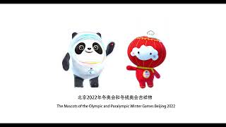 2022北京オリンピックパラリンピックマスコット 2022 Beijing Olympics and Paralympics mascot quotBing Dwen DwenquotquotShuy Ron Ronquot [upl. by Ytsrik]