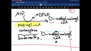 Biochemistry Lipid Metabolism second year part 8 [upl. by Yulma304]