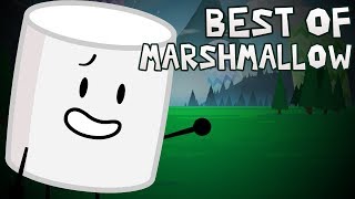 Inanimate Insanity II  Best of Marshmallow [upl. by Minne153]