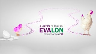 EVALON® a life time of immunity [upl. by Coffey938]