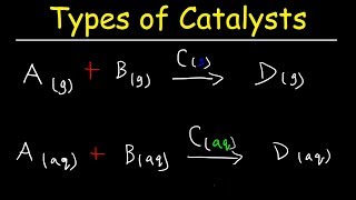 Homogeneous vs Heterogeneous Catalysts  Basic Introduction [upl. by Knowle]