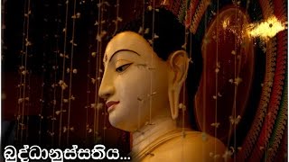 බුද්ධානුස්සතියMaha Rahathun Wadi Maga Osse [upl. by Ilesara269]