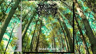 All Is At An End  Brutal Nature 320 Full Album [upl. by Childs]